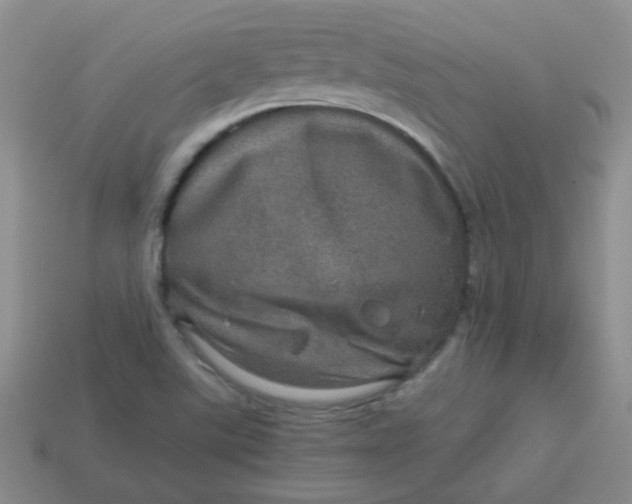 X0000113601507200910091510