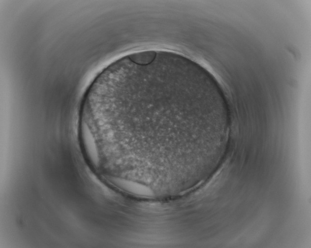 X0000113601508200910091510