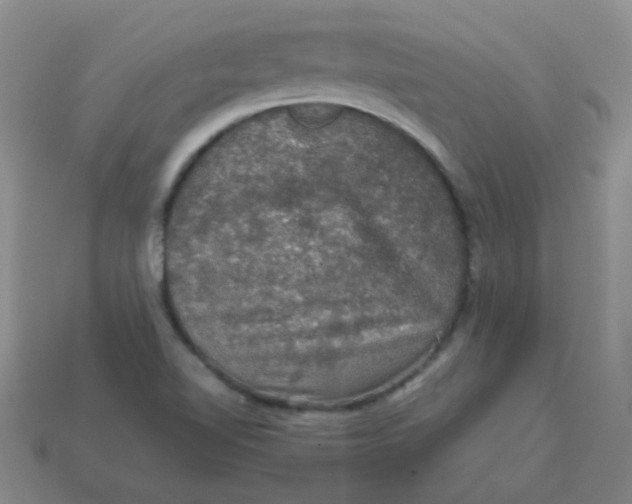 X0000113601510200910091510