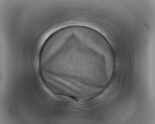 X0000113601511200910091510