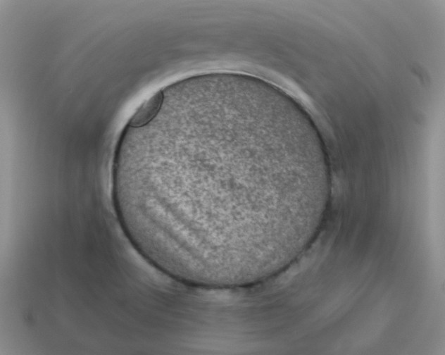 X0000113601512200910091510