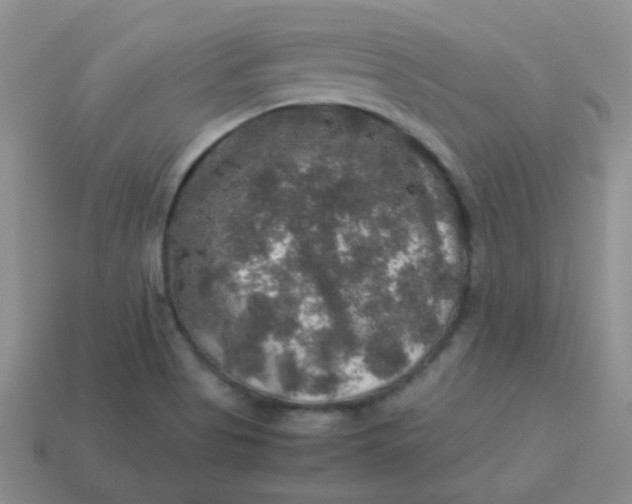 X0000113601513200910091510