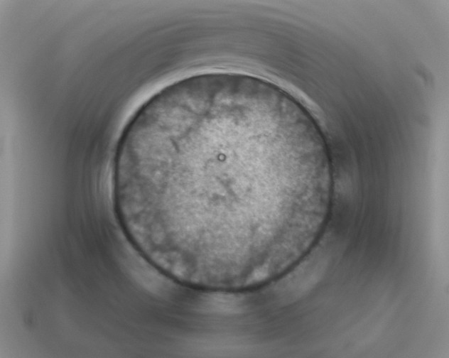 X0000113601514200910091510