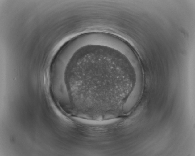 X0000113601515200910091510