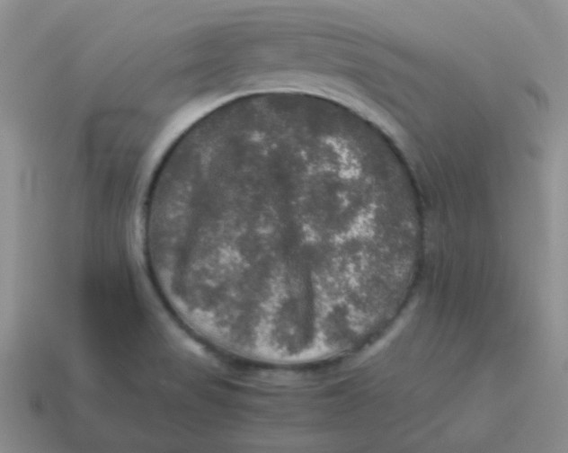 X0000113601517200910091510