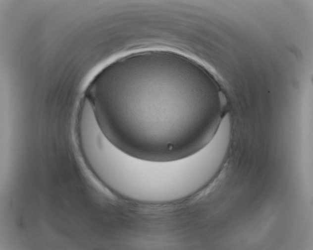 X0000113601518200910091510