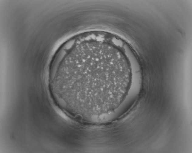 X0000113601519200910091510