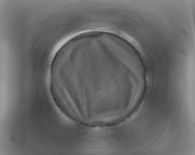 X0000113601520200910091510