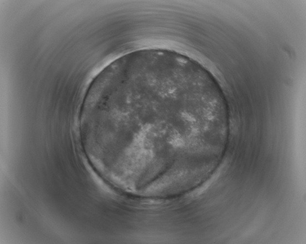 X0000113601521200910091510