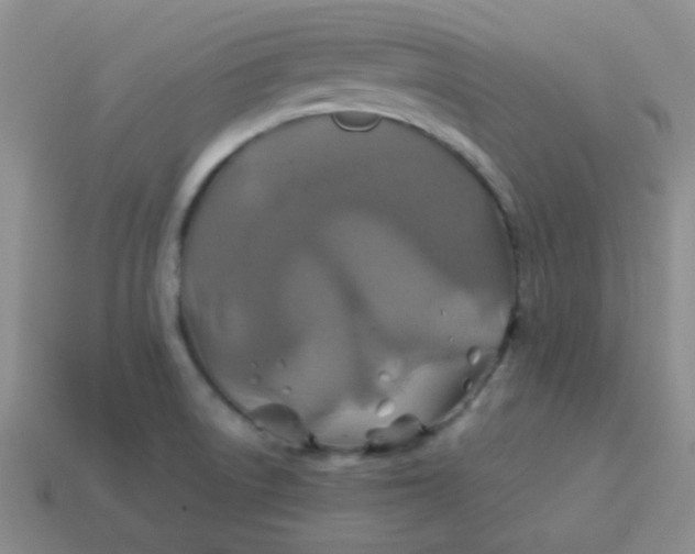 X0000113601522200910091510