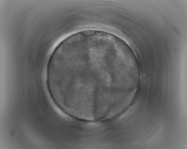 X0000113601523200910091510