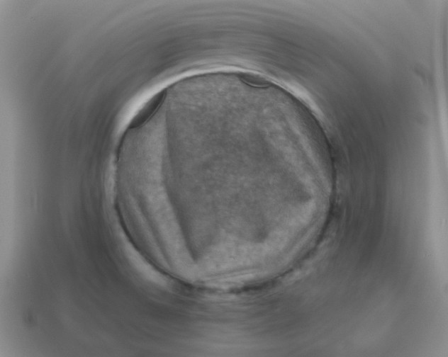 X0000113601524200910091510