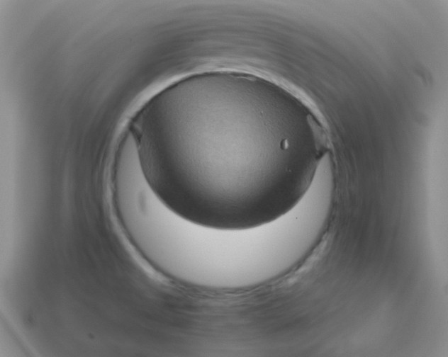 X0000113601525200910091510