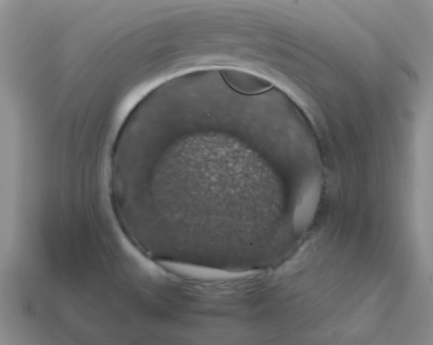 X0000113601527200910091510