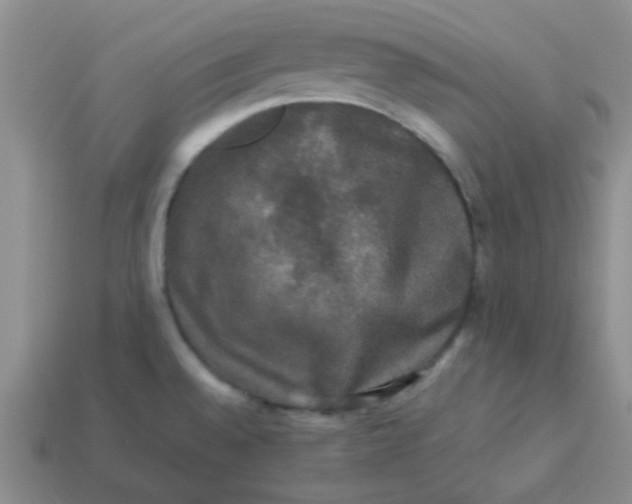 X0000113601528200910091510