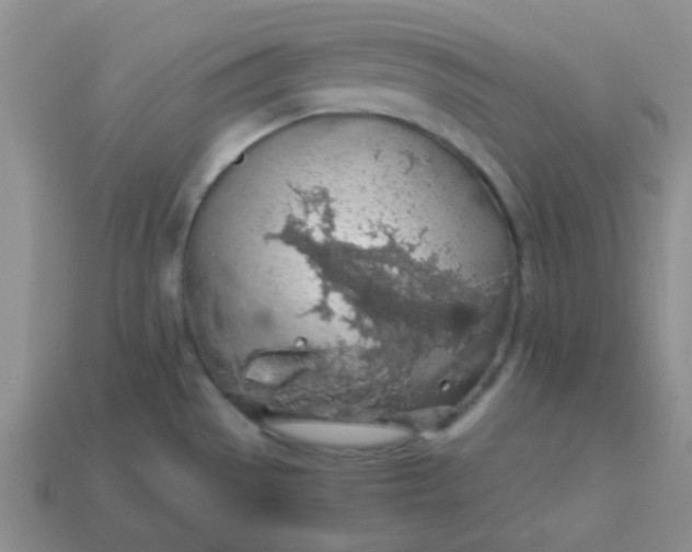 X0000113601529200910091510