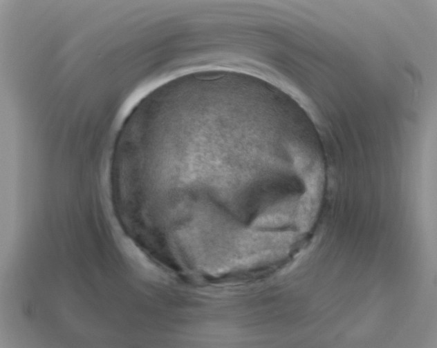 X0000113601530200910091510