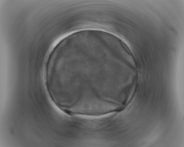 X0000113601531200910091510