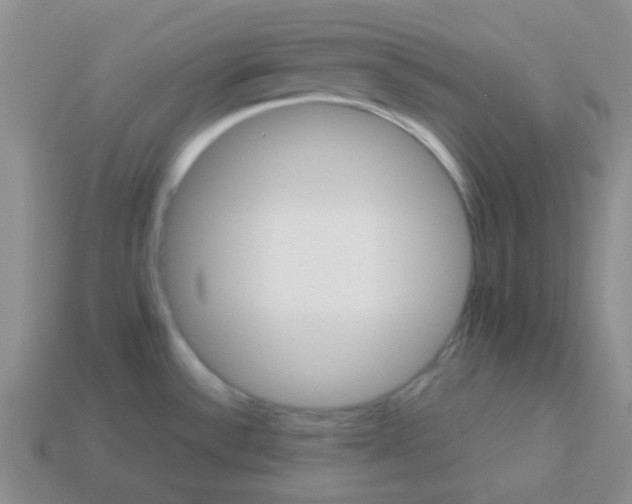 X0000113601532200910091510