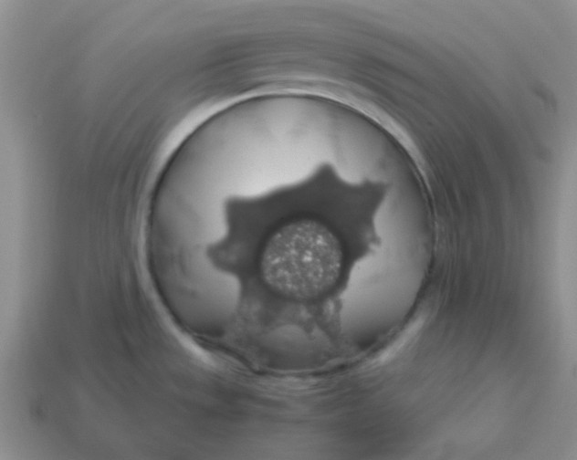 X0000113601533200910091510