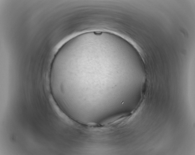 X0000113601534200910091510