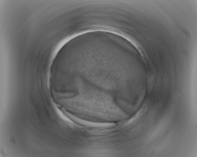 X0000113601535200910091510