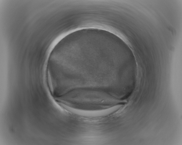 X0000113601536200910091510