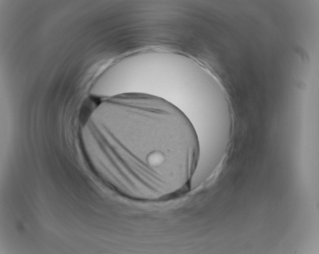 X0000113600001200910161917