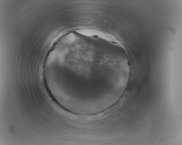 X0000113600002200910161917