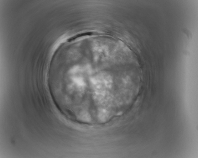 X0000113600003200910161917