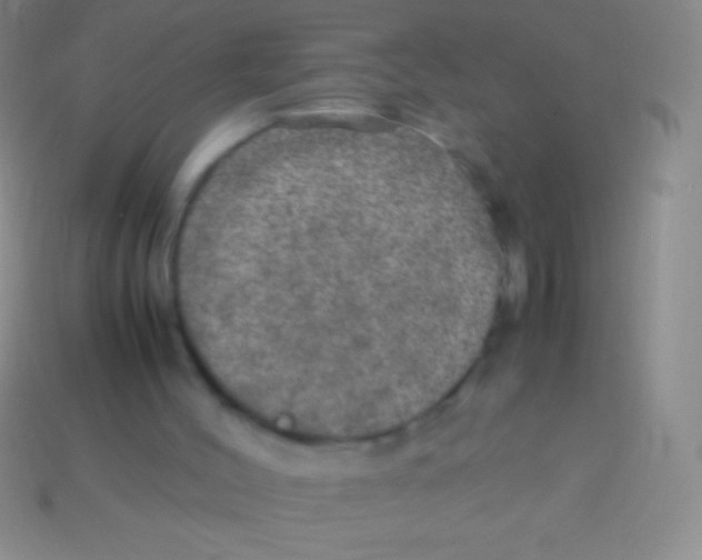 X0000113600004200910161917