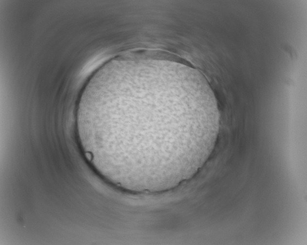 X0000113600005200910161917