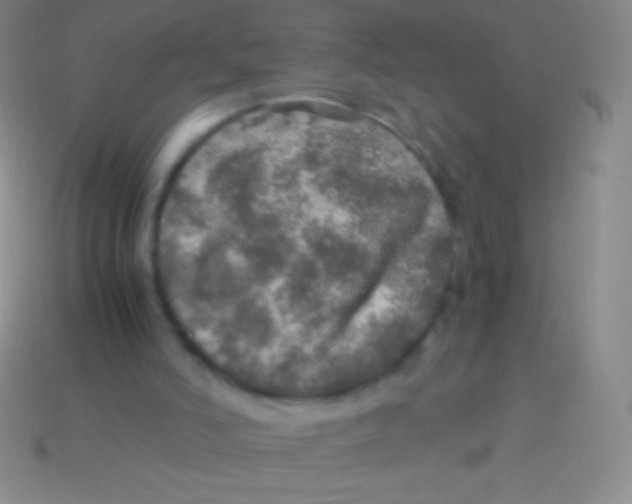 X0000113600006200910161917