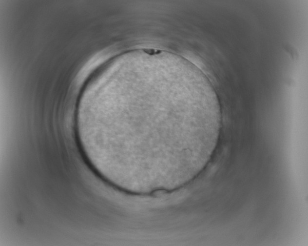 X0000113600007200910161917