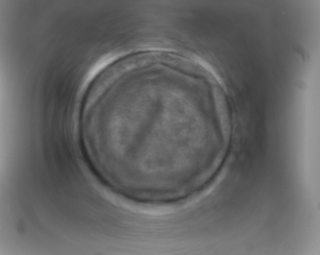 X0000113600008200910161917