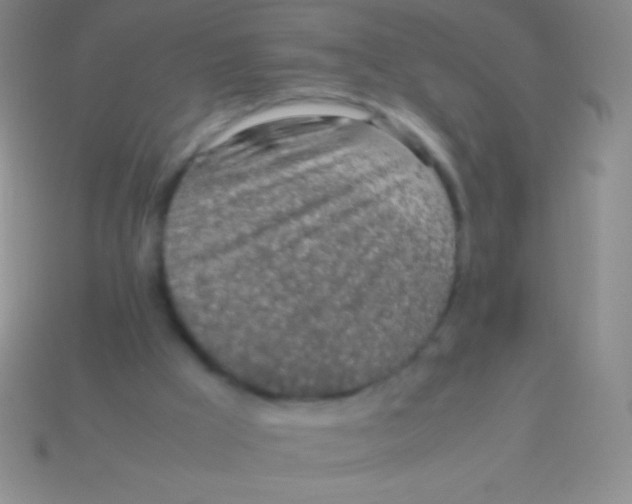 X0000113600009200910161917