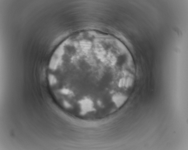 X0000113600010200910161917