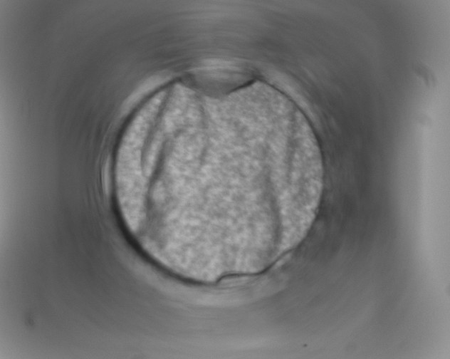 X0000113600011200910161917