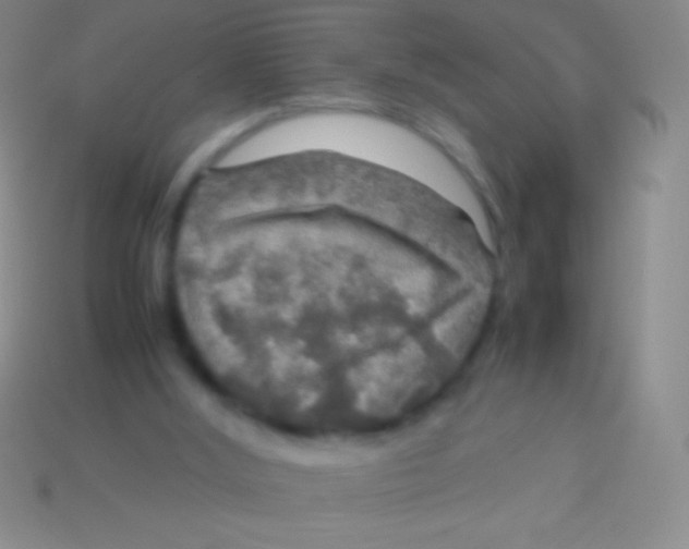 X0000113600012200910161917