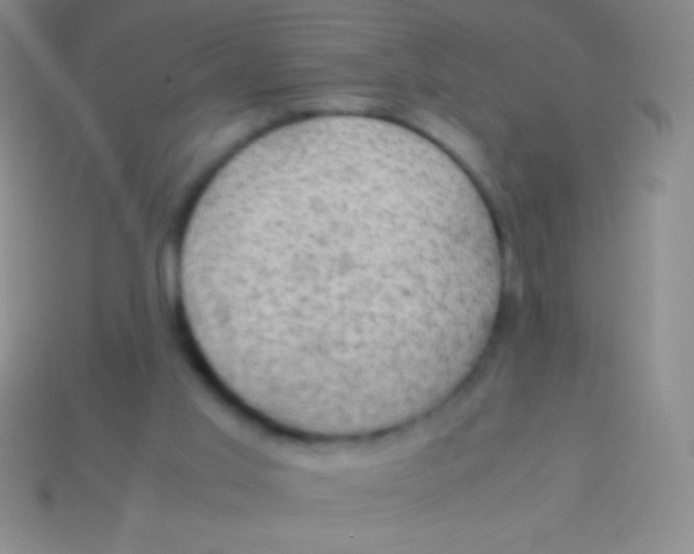 X0000113600013200910161917