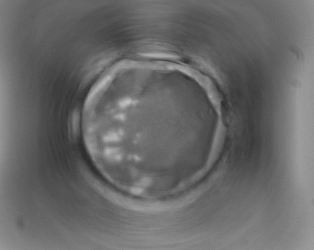 X0000113600014200910161917