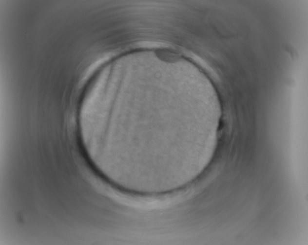 X0000113600015200910161917