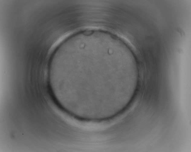 X0000113600016200910161917