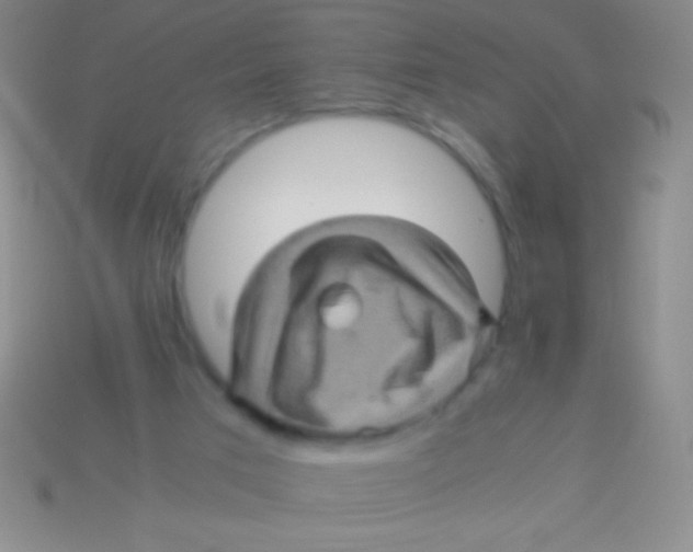 X0000113600017200910161917