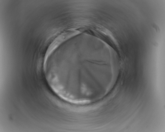 X0000113600018200910161917