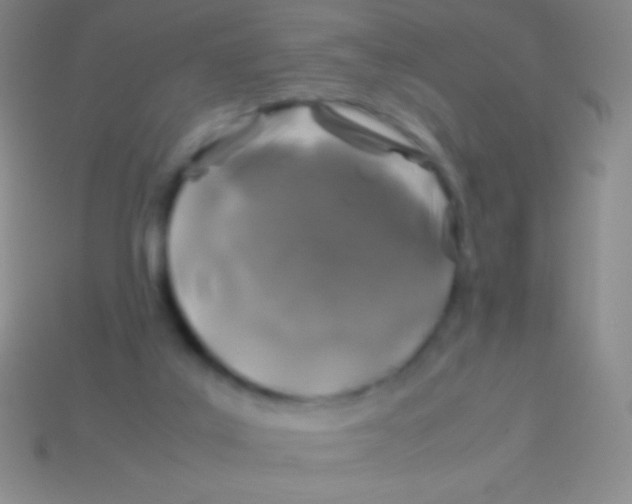 X0000113600019200910161917