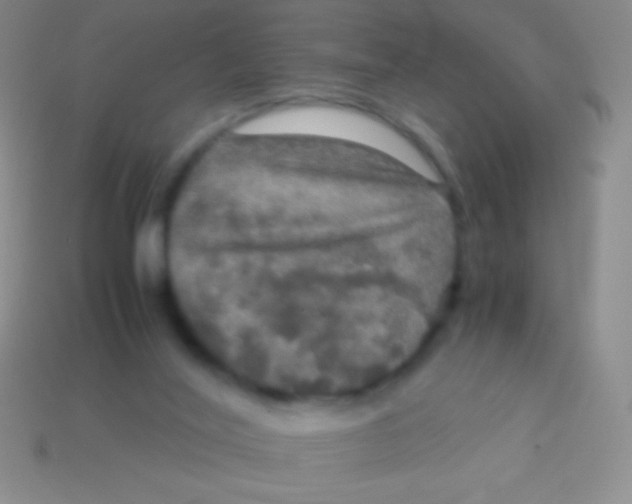 X0000113600020200910161917