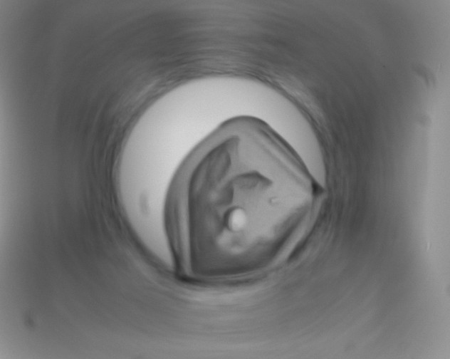 X0000113600021200910161917