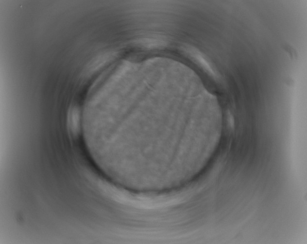 X0000113600022200910161917