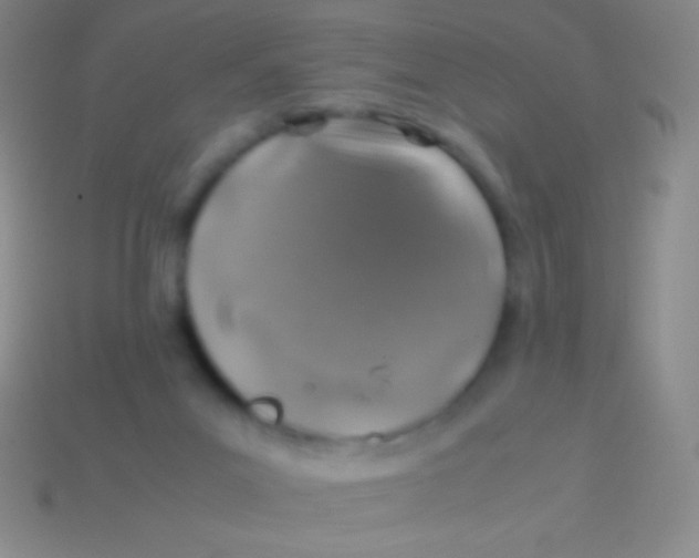 X0000113600023200910161917